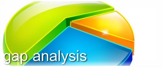 Multisys Gap Analysis / Marketing