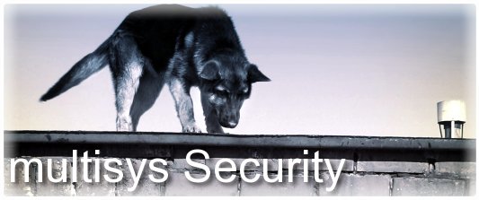 multisys Security