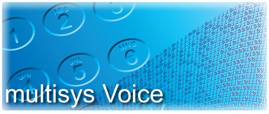 multisys Voice